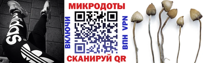 закладка  Тихвин  Псилоцибиновые грибы MAGIC MUSHROOMS 